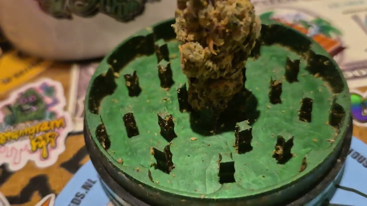 4C Labs Craft Select HWF T31 Hawaiian Fanta Medical Cannabis Flower 🏝🧃 (18+)