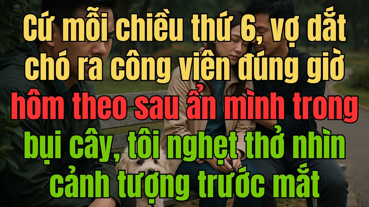 Cứ mỗi chiều thứ 6, vợ dắt chó ra công viên đúng giờ → hôm theo sau ẩn mình trong bụi cây và sốc