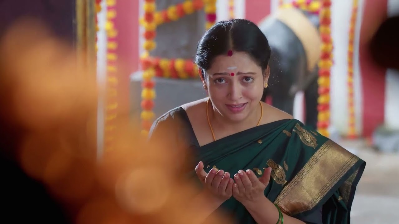 Karthigai Deepam - Full Ep - 677 - Karthikeyan, Deepa, Abirami - Zee Tamil