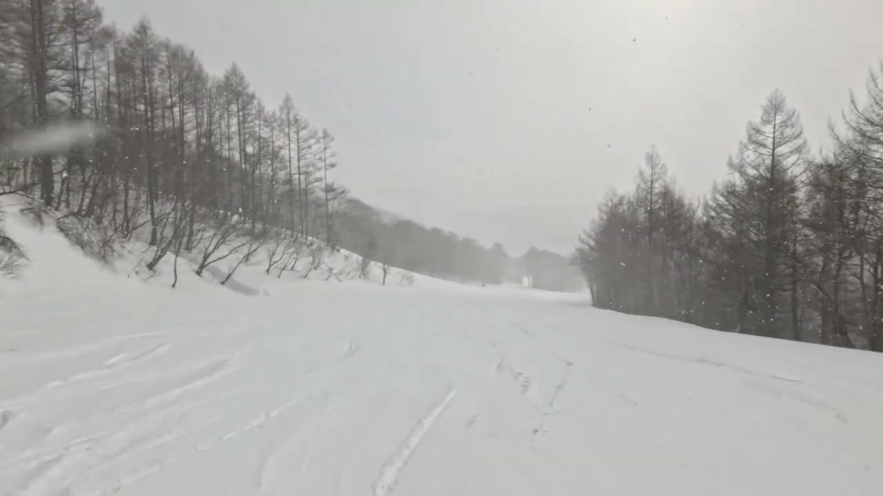 スキー 2026 02 19 ホワイトワールド尾瀬岩鞍 25 ななかまどコース