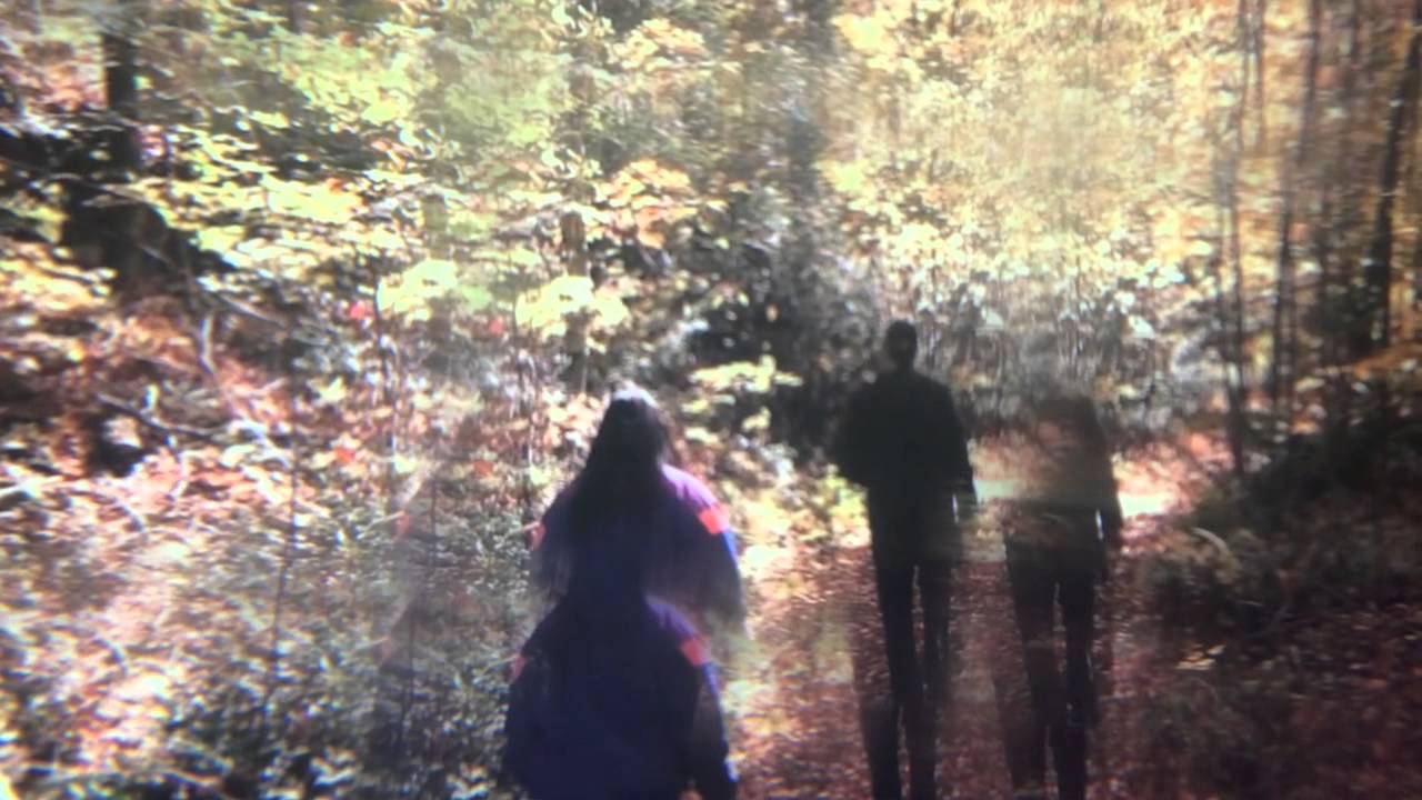Foxes in Fiction - Ontario Gothic (full album video)