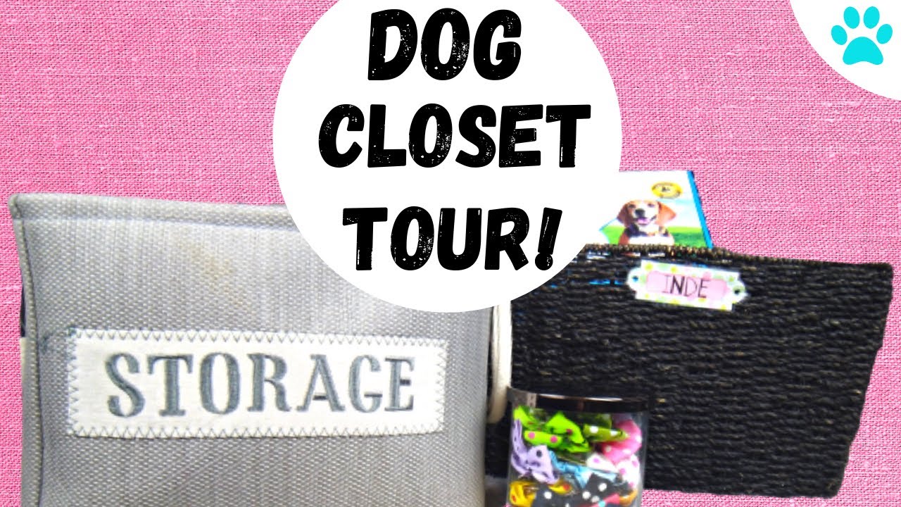 Dog Closet Tour~ How to make Dog FOOTIE PAJAMAS!DOG MONTH!~ Introducing Inde~ Pomchi Productions