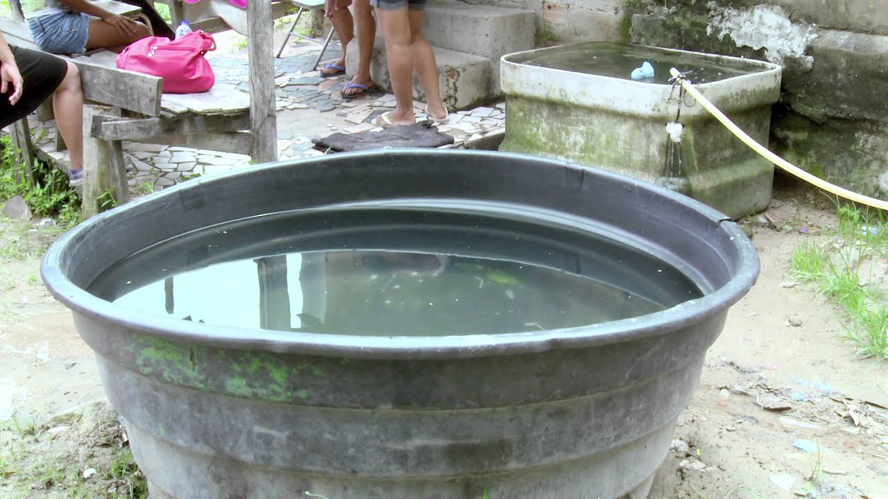 Brazil: The Water and Waste Warrior
