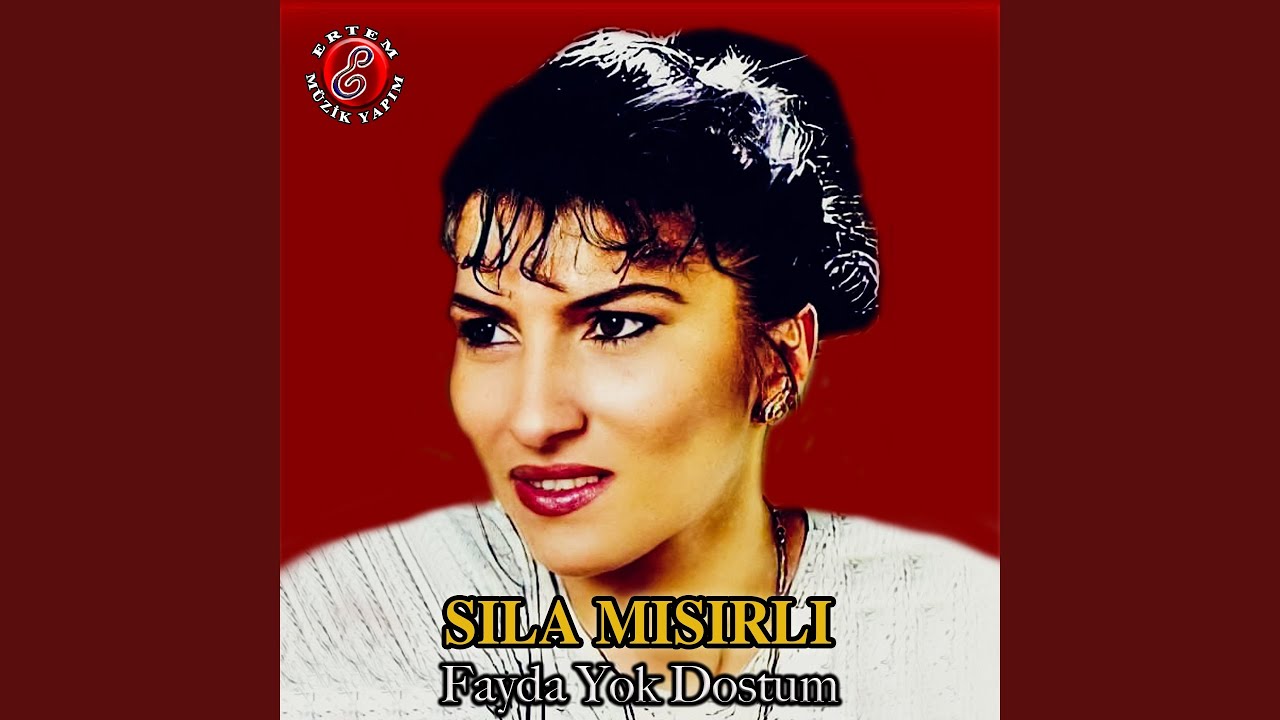 Fayda Yok Dostum