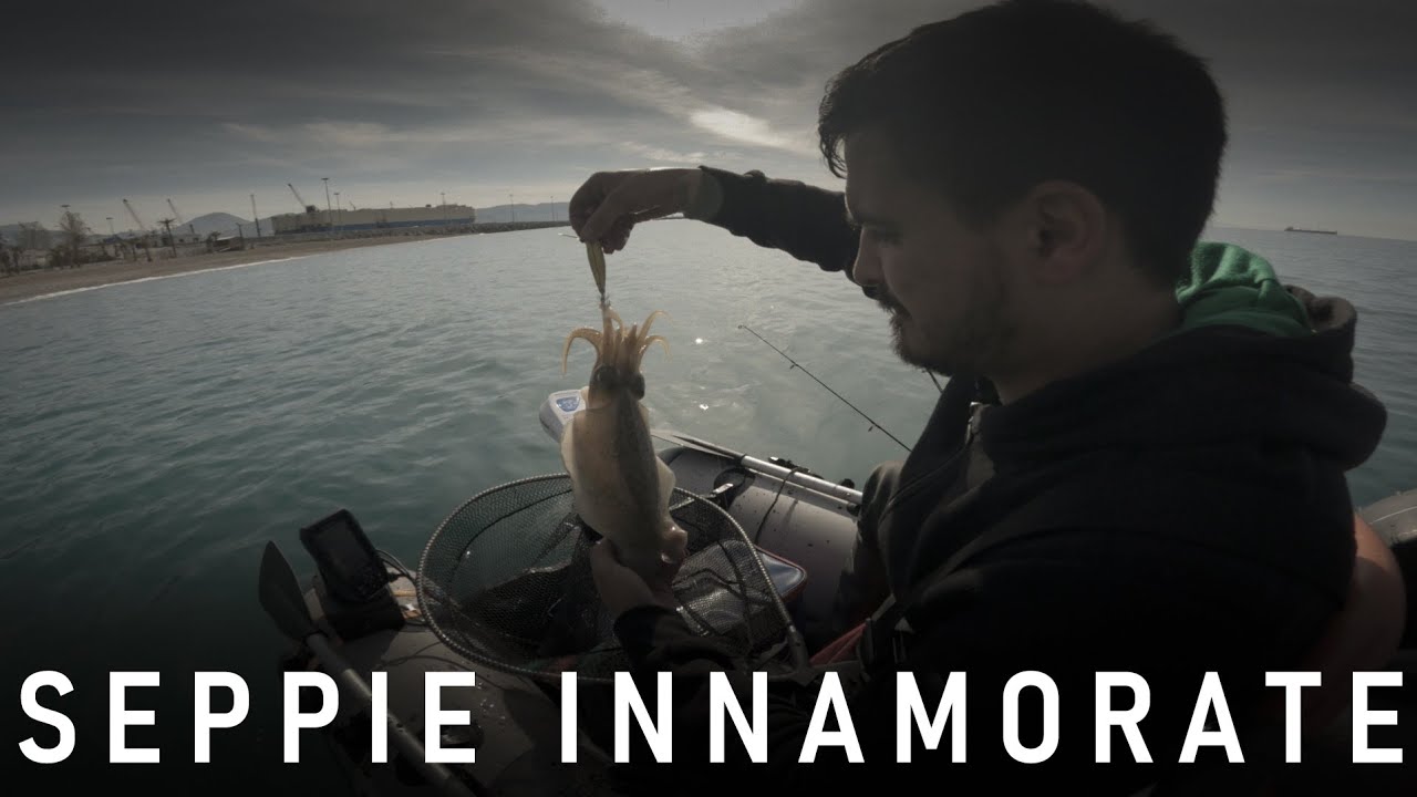 Eging Tender - SEPPIE INNAMORATE