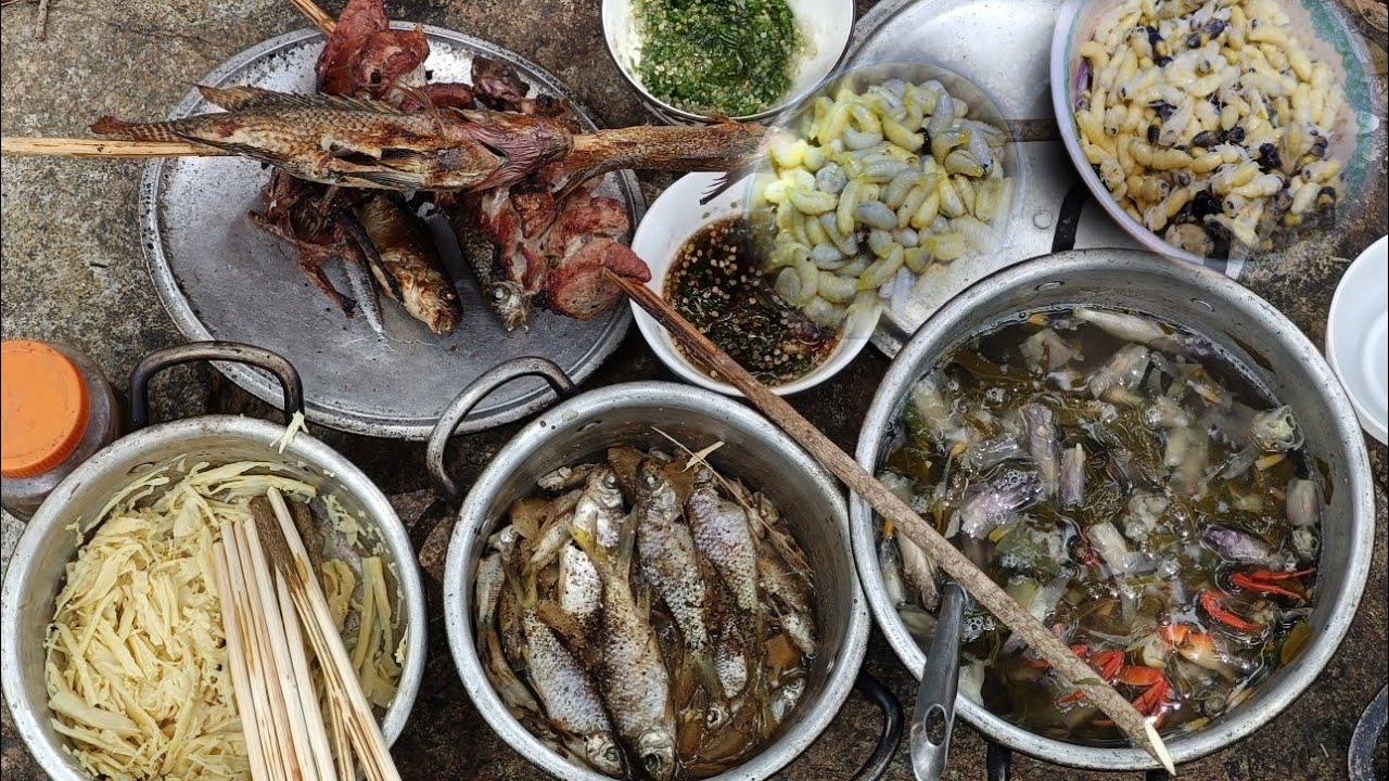 CƠM NÚI RỪNG | THƯỞNG THỨC ĐẶC SẢN MIỀN SƠN CƯỚC| CHUYẾN ĐI TÌM MẬT ONG CUỐI MÙA 2024