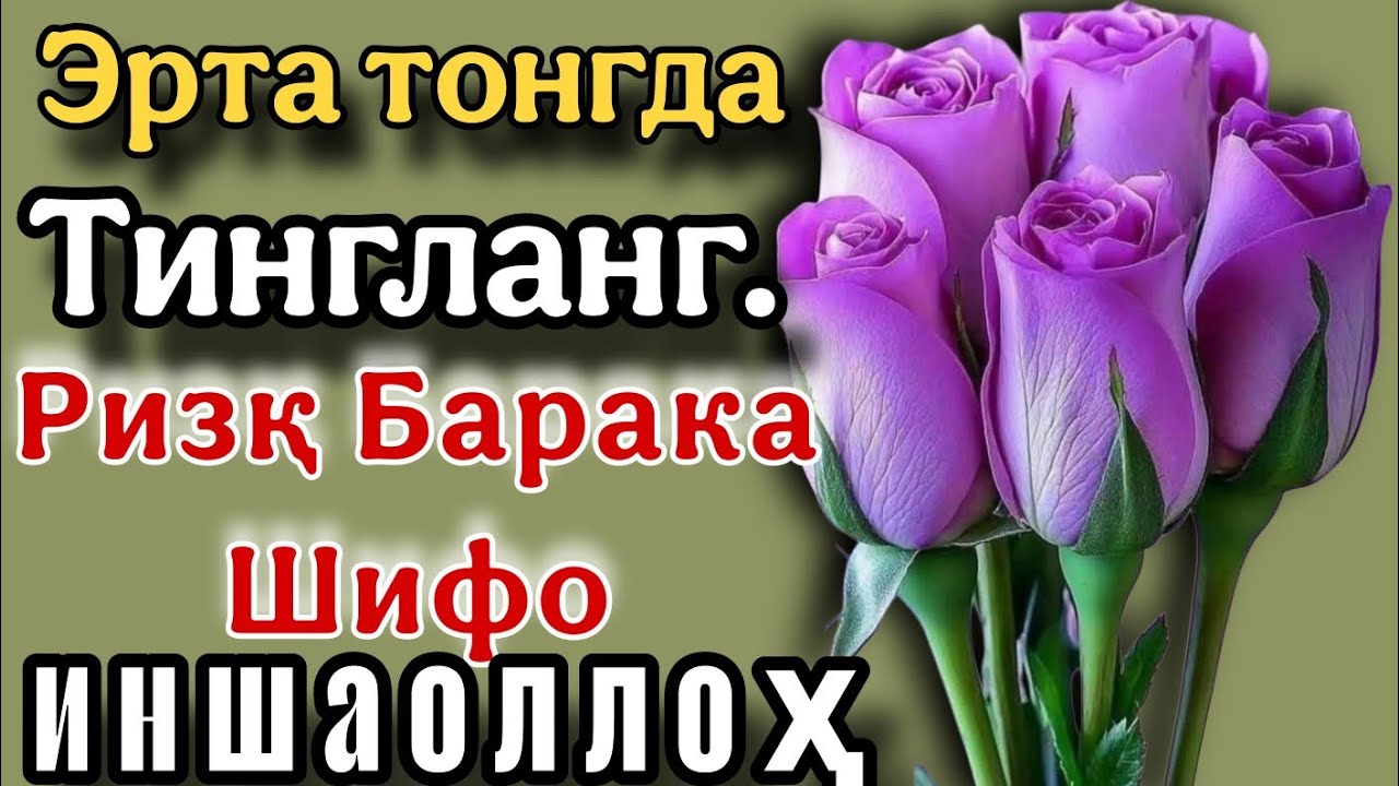 Эрталаб тонгда ихлос билан тингланг Ризқ Барака Шифо келтирувчи дуо 