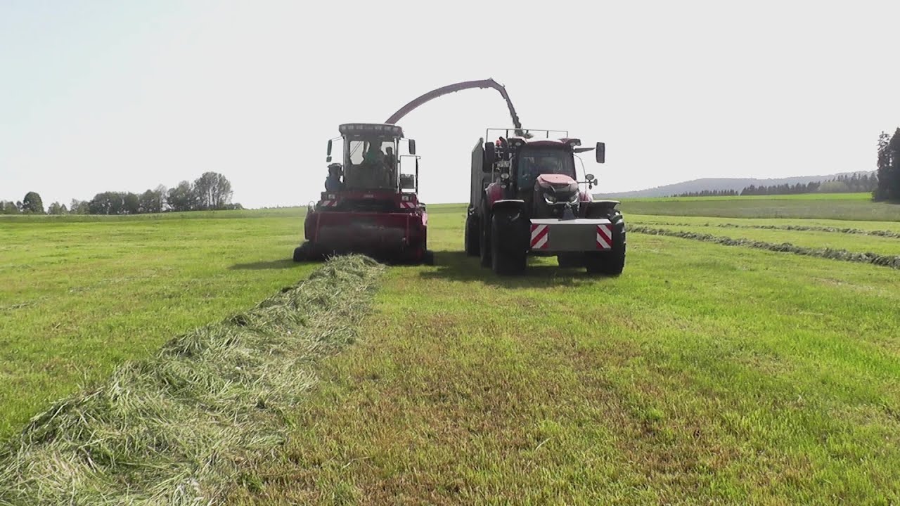 Gras silieren in Meierhof 2023