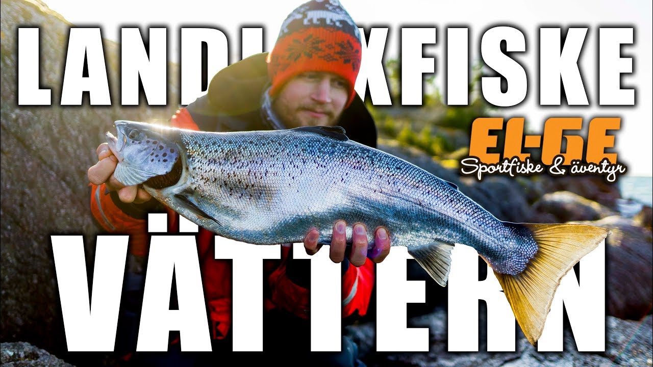 VÄTTERN | Landfiske efter lax | EL-GE Sportfiske
