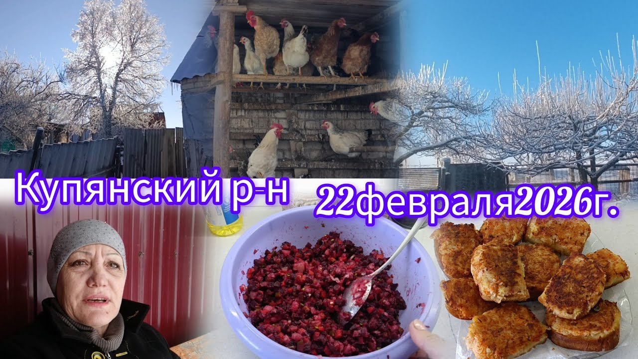 Вот так и живем🙏Интернета и света уже не будет#гренкизкартошкой#винигрет