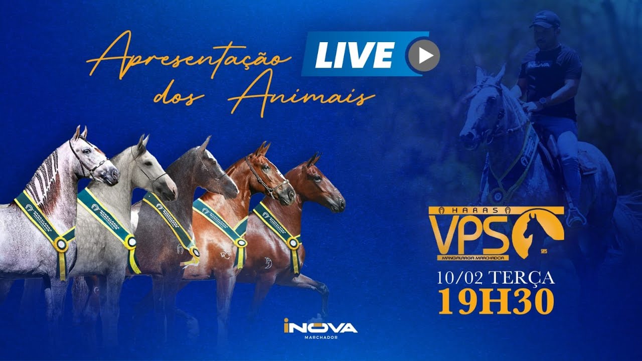 Live de Apresentação dos animais  - Haras VPS - INOVA Marchador