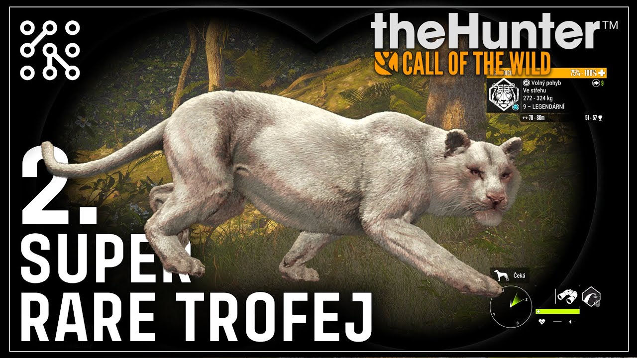 SUPER RARE TYGR | theHunter: Call of the wild CZ |  Česky