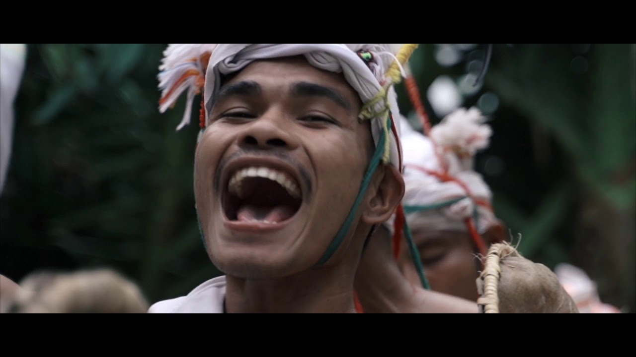 NIHI WILD || Welcome to the Edge of Wildness