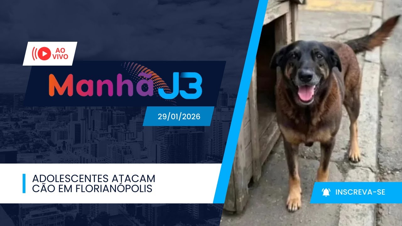 Maus-tratos a cão comunitário em Florianópolis mobiliza polícia e comunidade