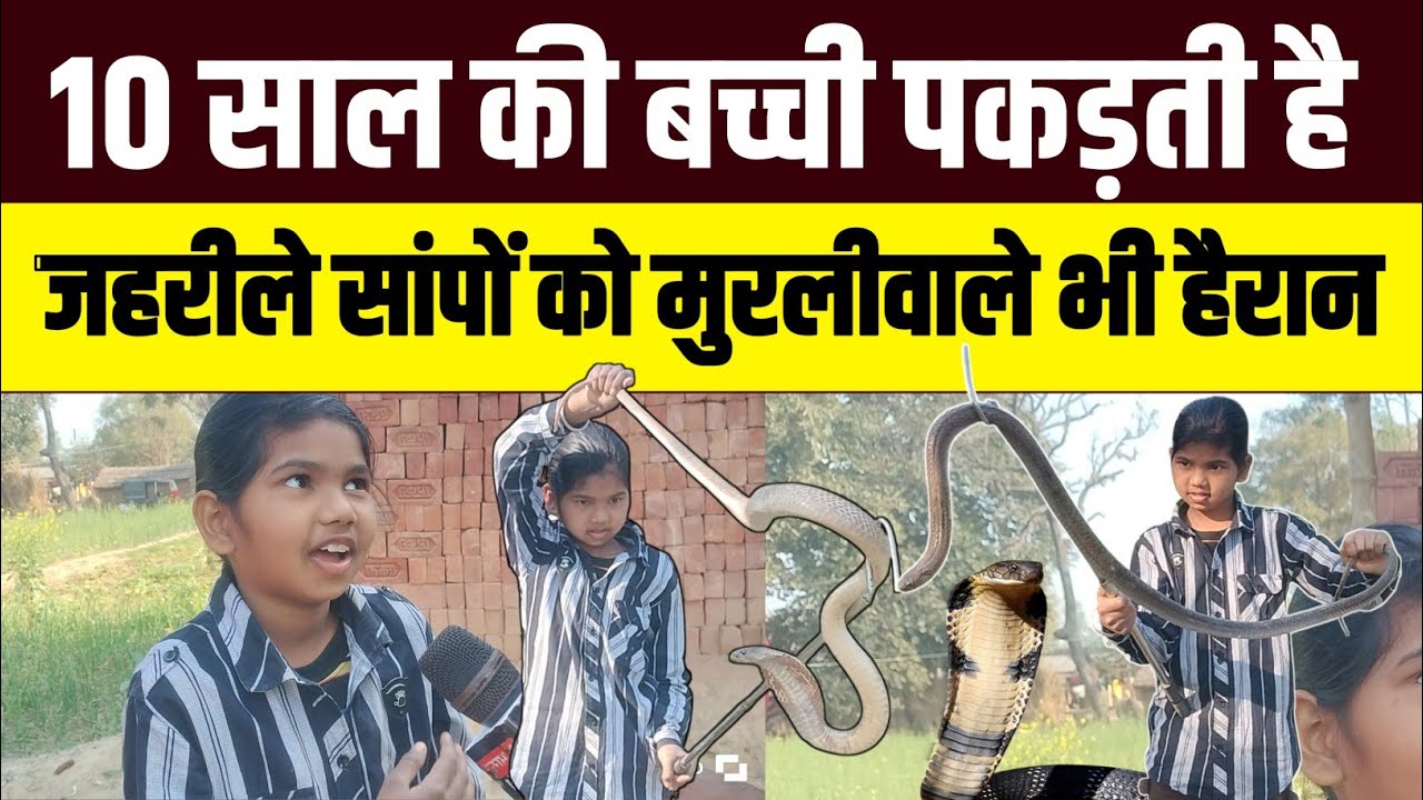 10 साल की बच्ची पकड़ती है सांपों को मुरलीवाले हौसला भी हैरान😨 @MurliwaleHausla  #jaunpur