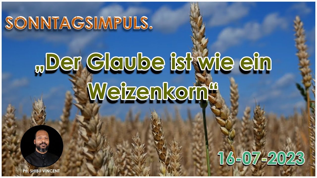 &bdquo;Der Glaube ist wie ein Weizenkorn&ldquo; | Pfr Shibu Vincent | Sonntagsimpuls| German talk | Episode 148