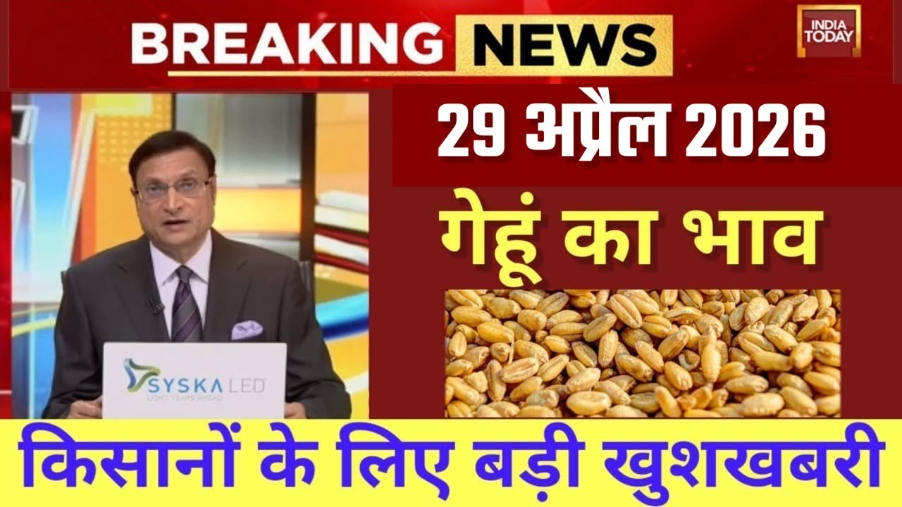 06 मार्च 2026 Gehun Ka Bhav आज का गेहूं का भाव । गेहूं के भाव में आई  आज तेजी । गेहूं का भा1व
