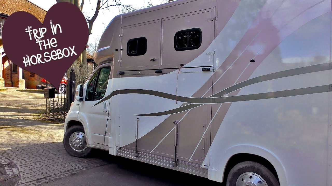 Trip Out In The Horsebox