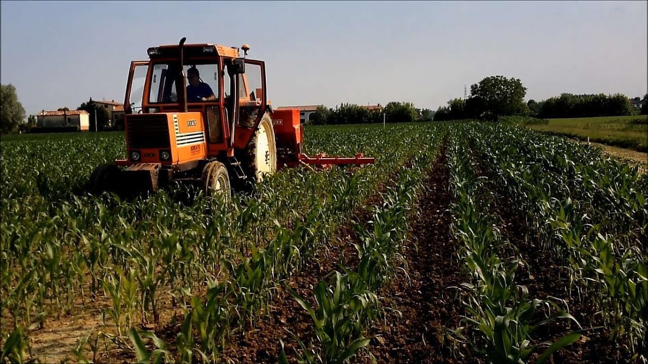 Sarchiatura Mais|Fendt|Fiat|2k15|