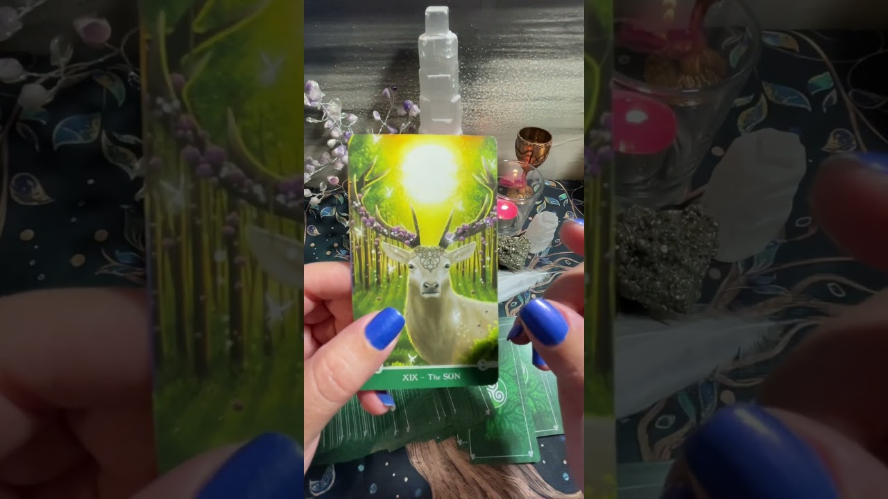 Dzisiejszy Tarot-Przesłanie Dnia-Codzienna Refleksja? #cartadodia #foxtarot #tarodehoje