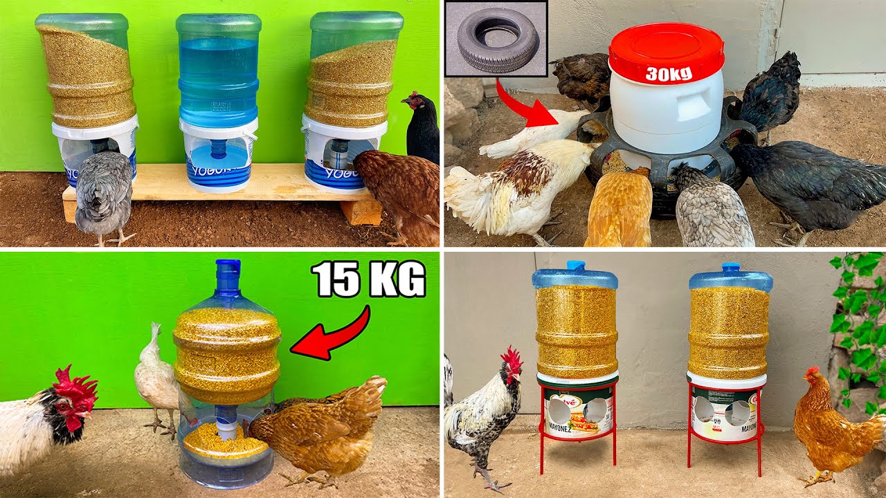 4 Sıradışı Tavuk Yemlik Yapımı