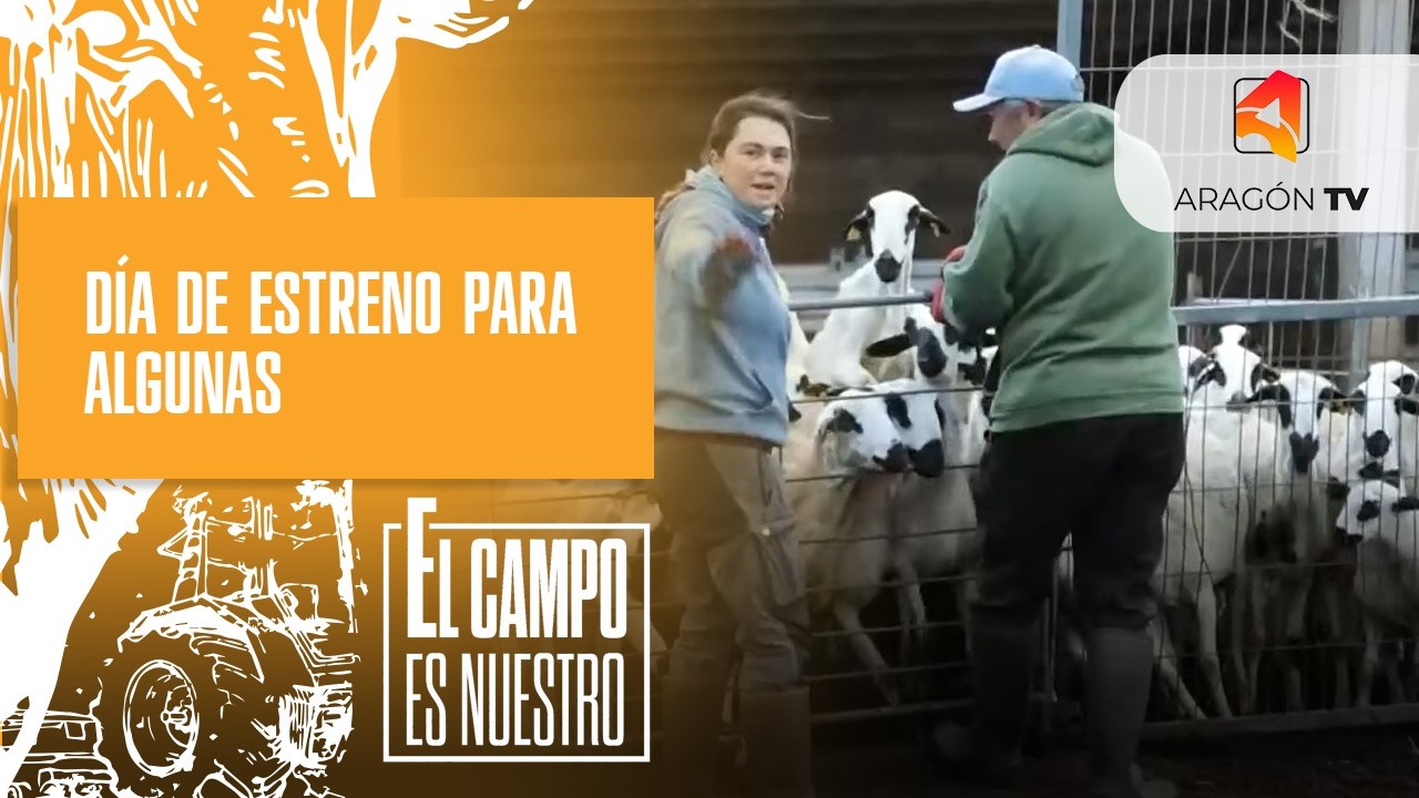 Día de estreno para algunas