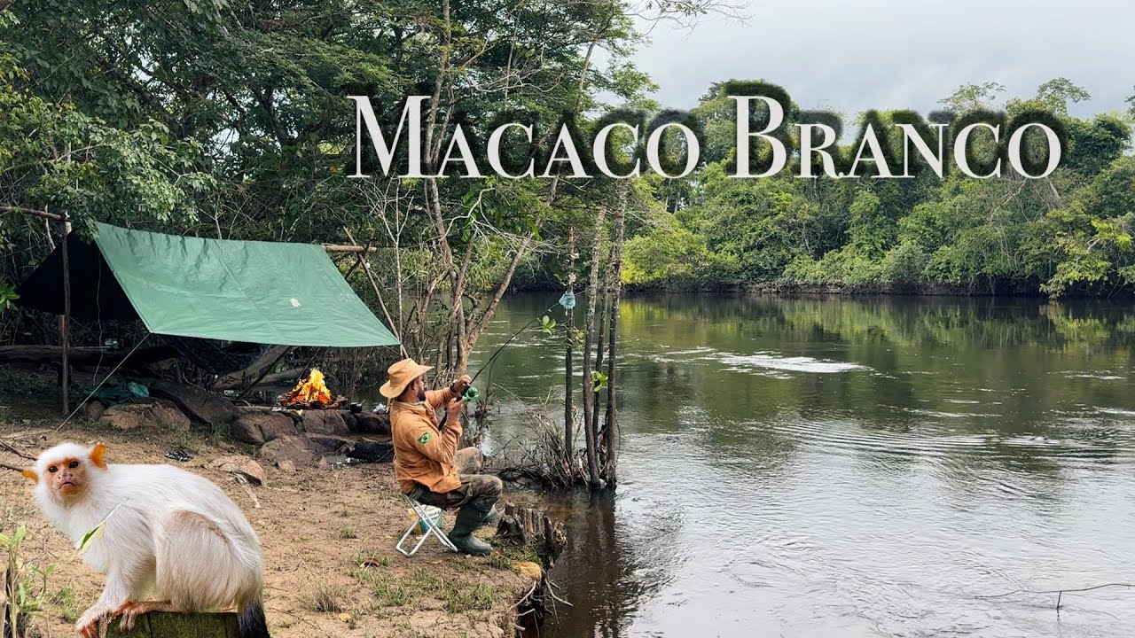 ACAMPANDO, PESCANDO e REGISTRANDO especies RARAS de ANIMAIS silvestres de regi&otilde;es AMAZ&Ocirc;NICAS! SAGUI-
