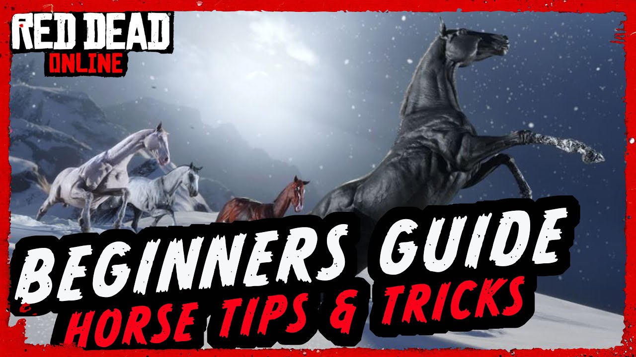 ULTIMATE HORSE GUIDE - Red Dead Online Beginners Guide to Horses