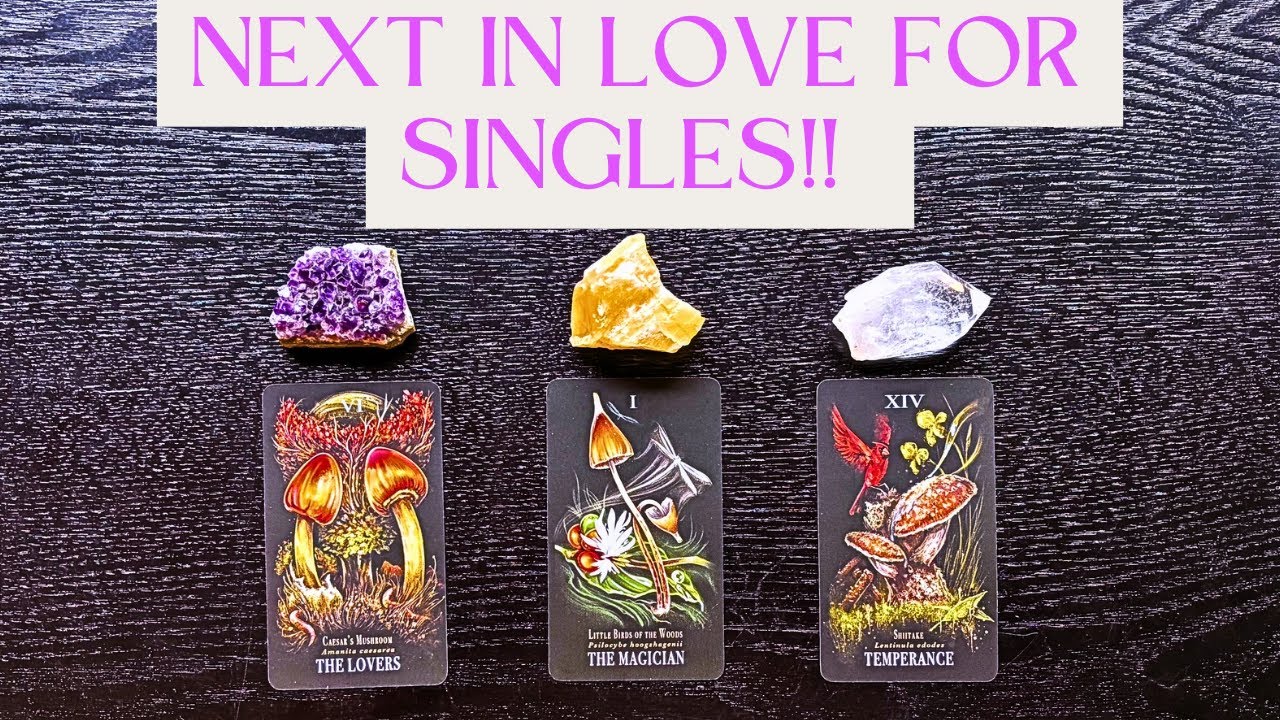 🌹SINGLES: What&rsquo;s NEXT In Love & Romance?❤️Pick-A-Card❤️