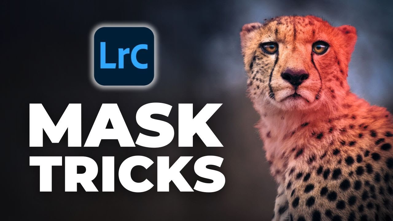 7 Masking Techniques That Transform Wildlife Photos