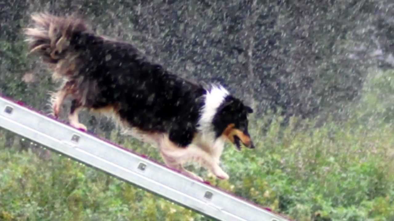 Never Give Up [Agility - English version] Inspirational video -1