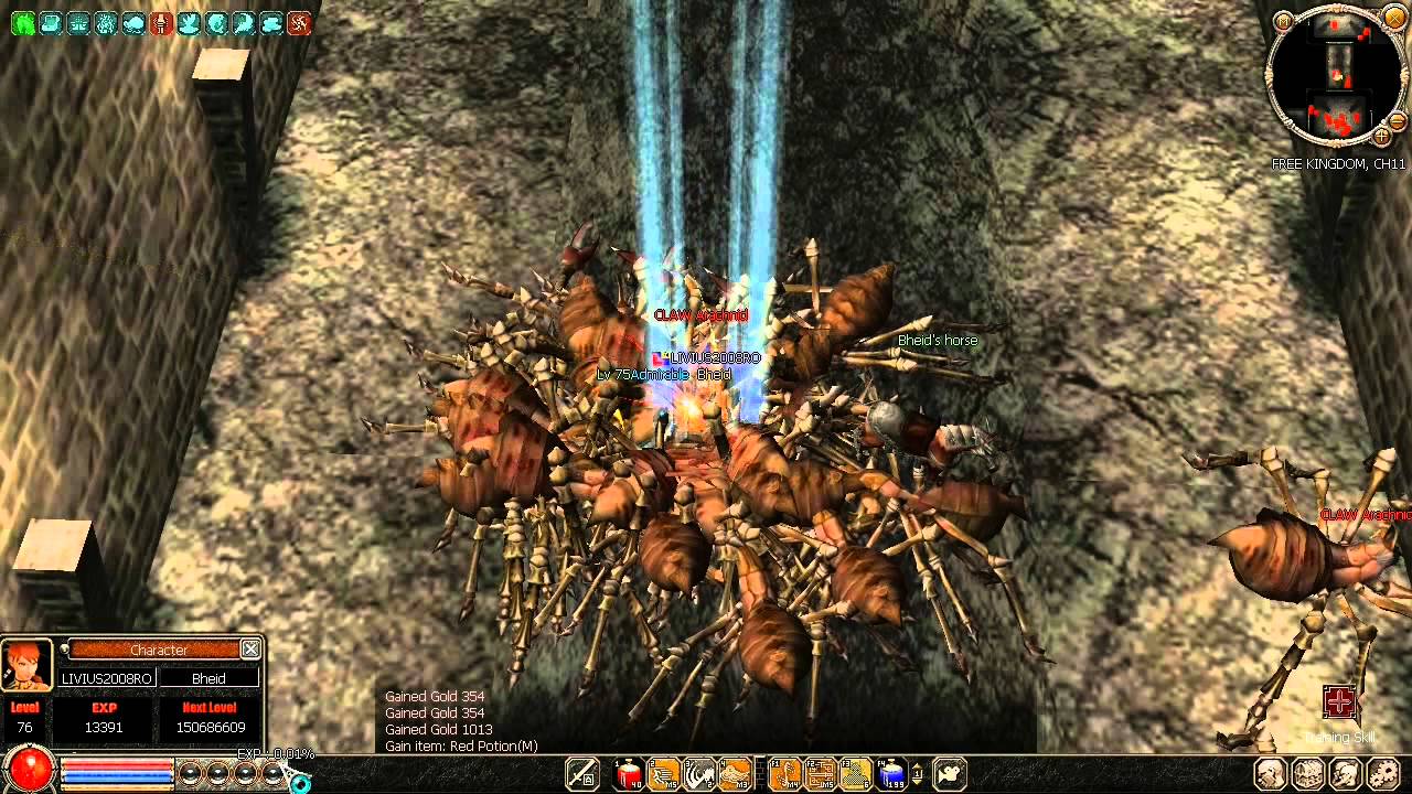 Metin2 US - Evolution (Complete)