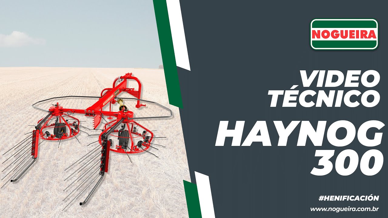 HAYNOG 300