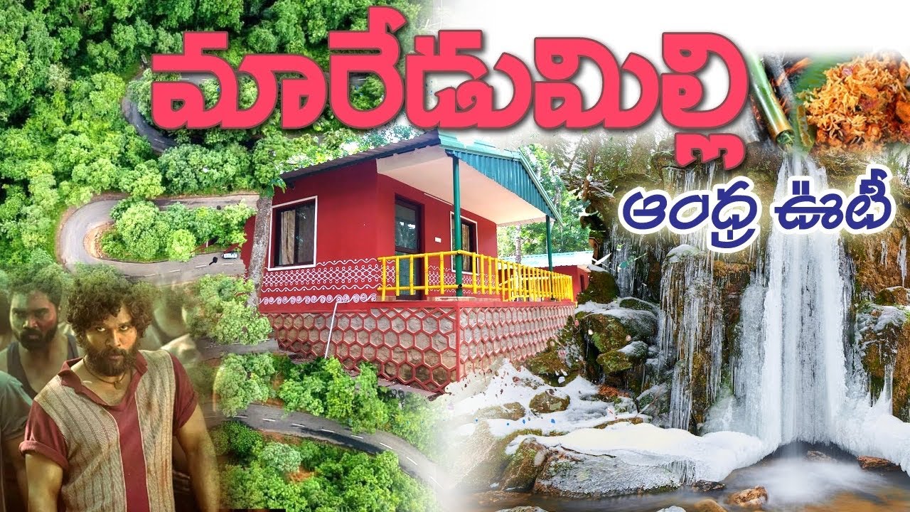 మారేడుమిల్లి అందాలు,ఆంధ్ర  ఊటీ , మారేడుమిల్లి మామూలుగా లేదుగా #maredumilli #andhra #forest #ytstudio