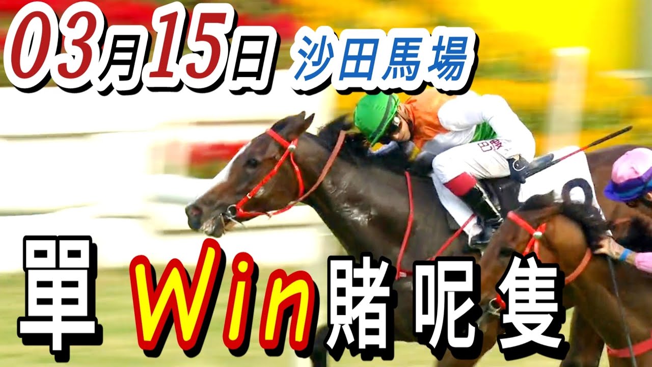 膽拖 第三場 第4場  | 梁西華講馬經(2026年03月15日)賽馬粵語旁述 | 馬迷交流 | 沙田泥地草地日賽 香港賽馬