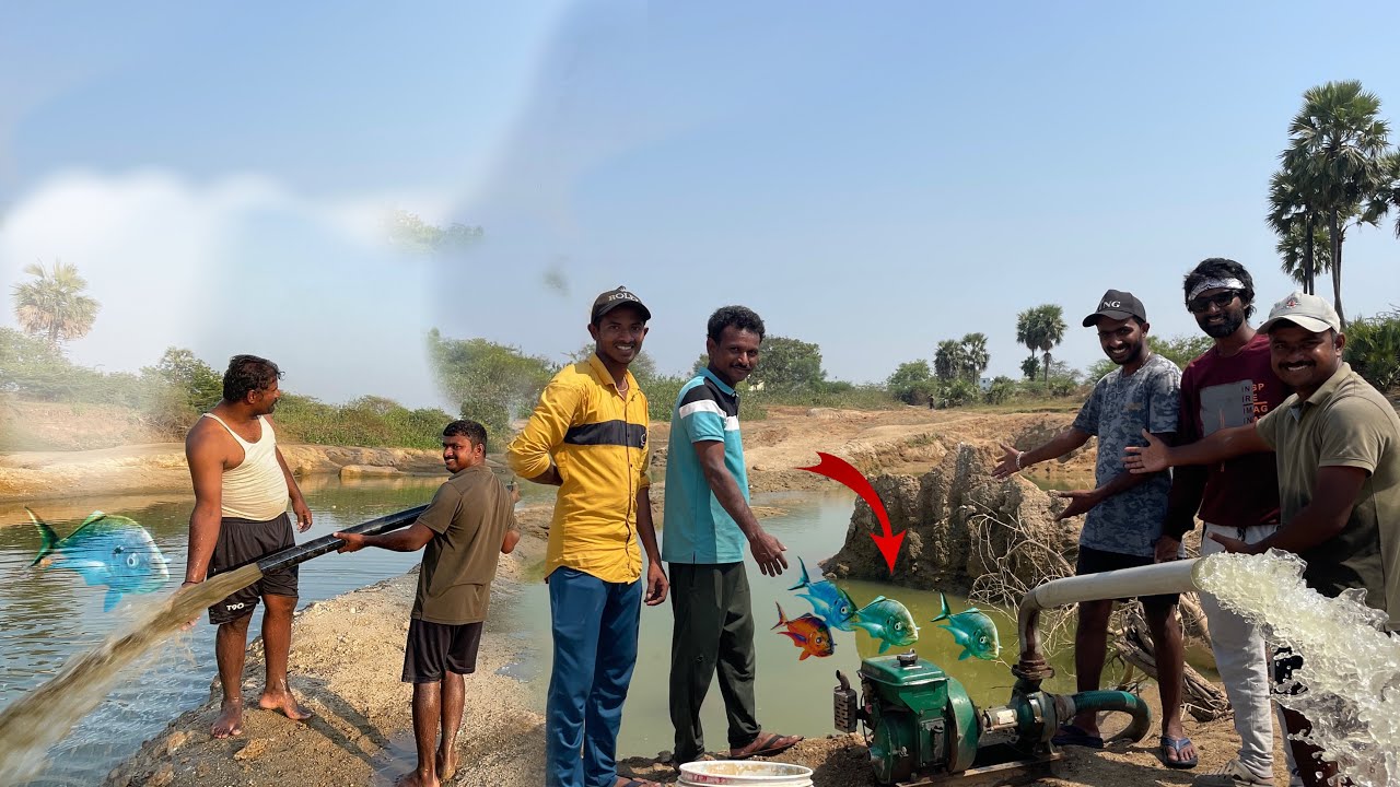 Village Pond Fishing Most Populur Cast Net Fishing ganesh vlogger