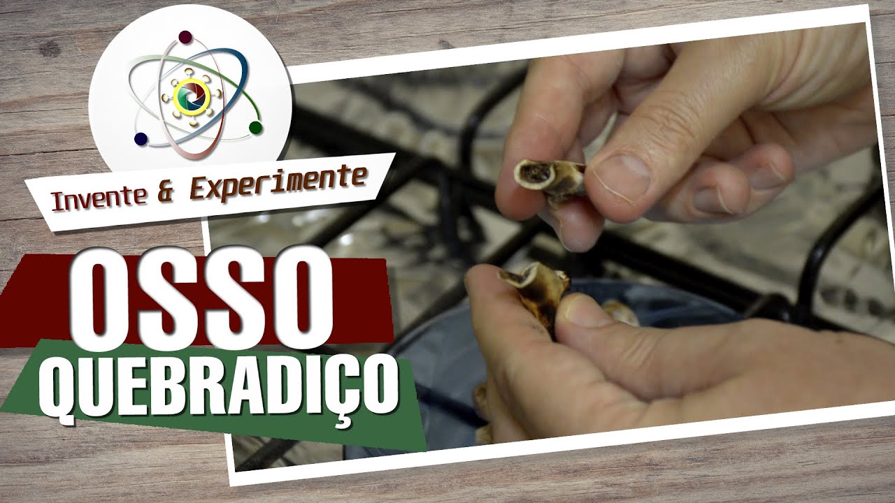 Experiência com osso de galinha
