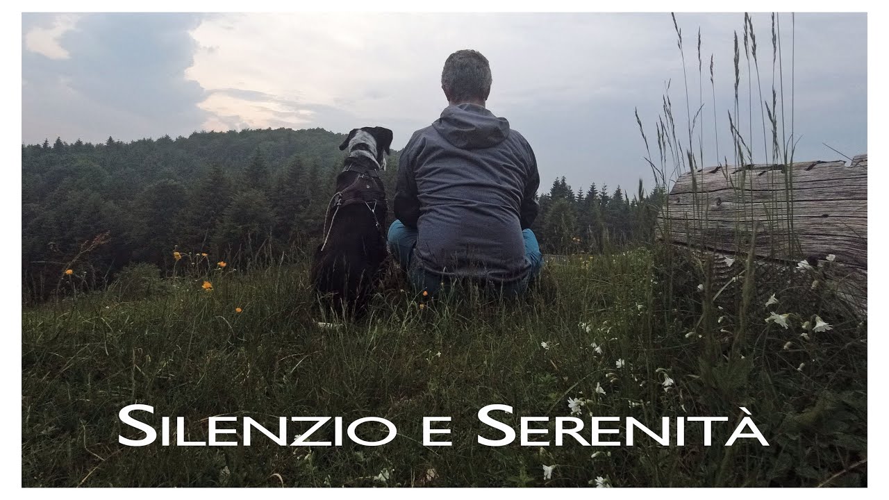 Nel silenzio della foresta del Cansiglio, notte in tenda con Ray