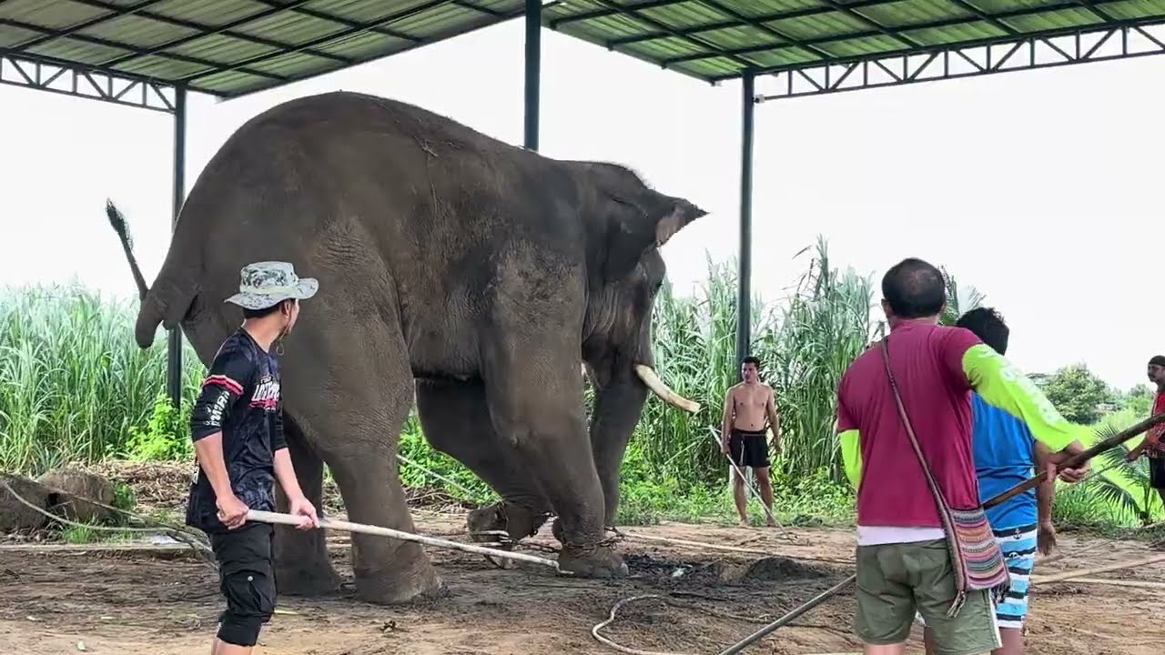 EP2 ลุ้นๆผูกขาหลัง