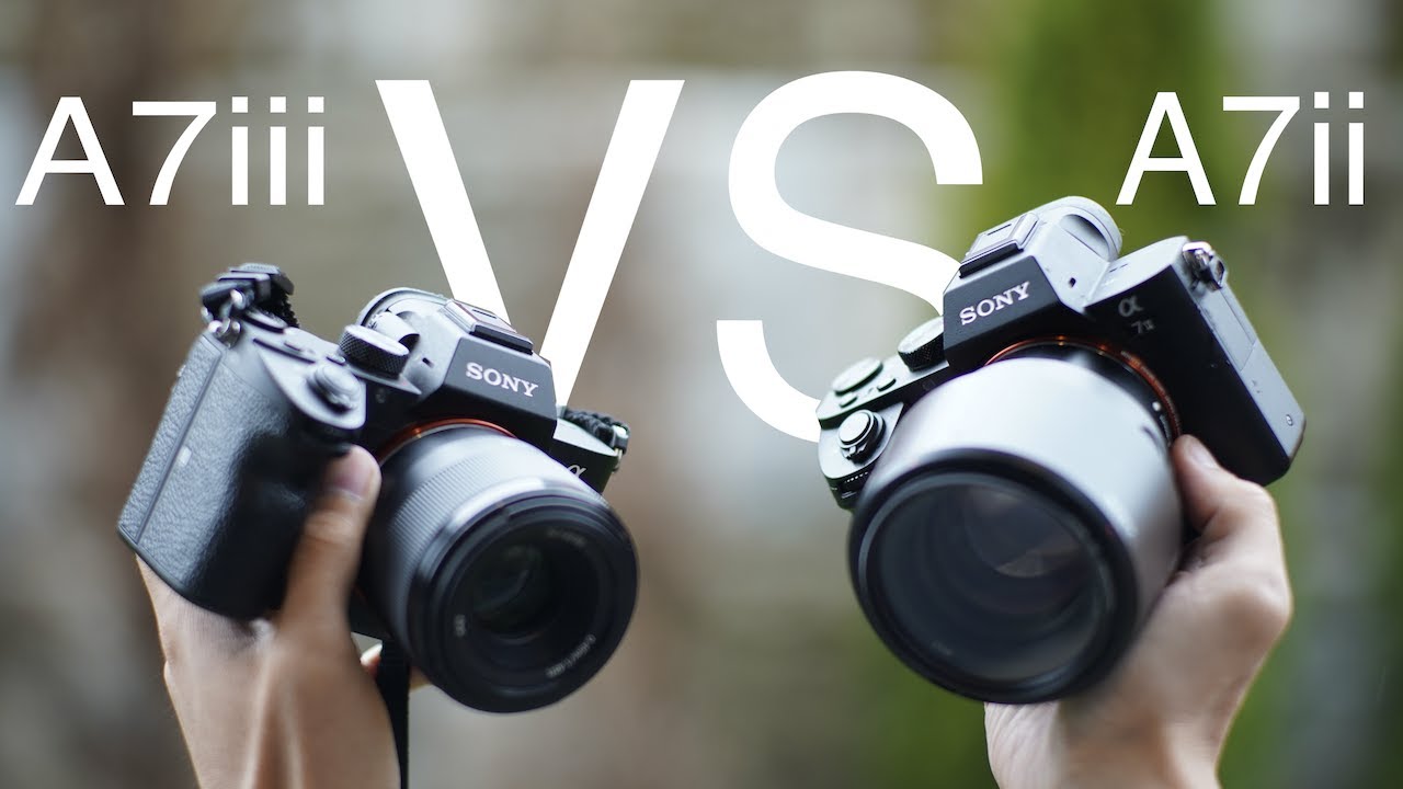 Сравнение автофокуса на видеокамерах SONY A7ii и A7iii 2019
