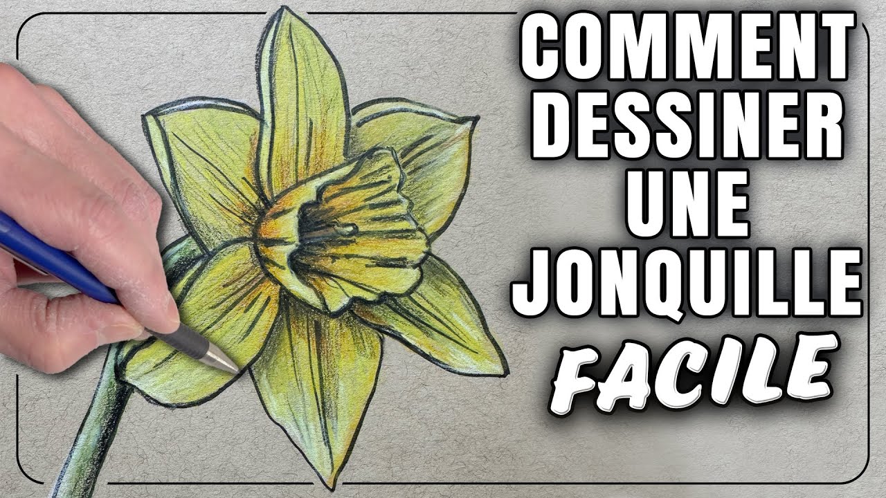COMMENT DESSINER UNE JONQUILLE ET LA METTRE EN COULEURS POUR DÉBUTANTS - TUTO COMPLET