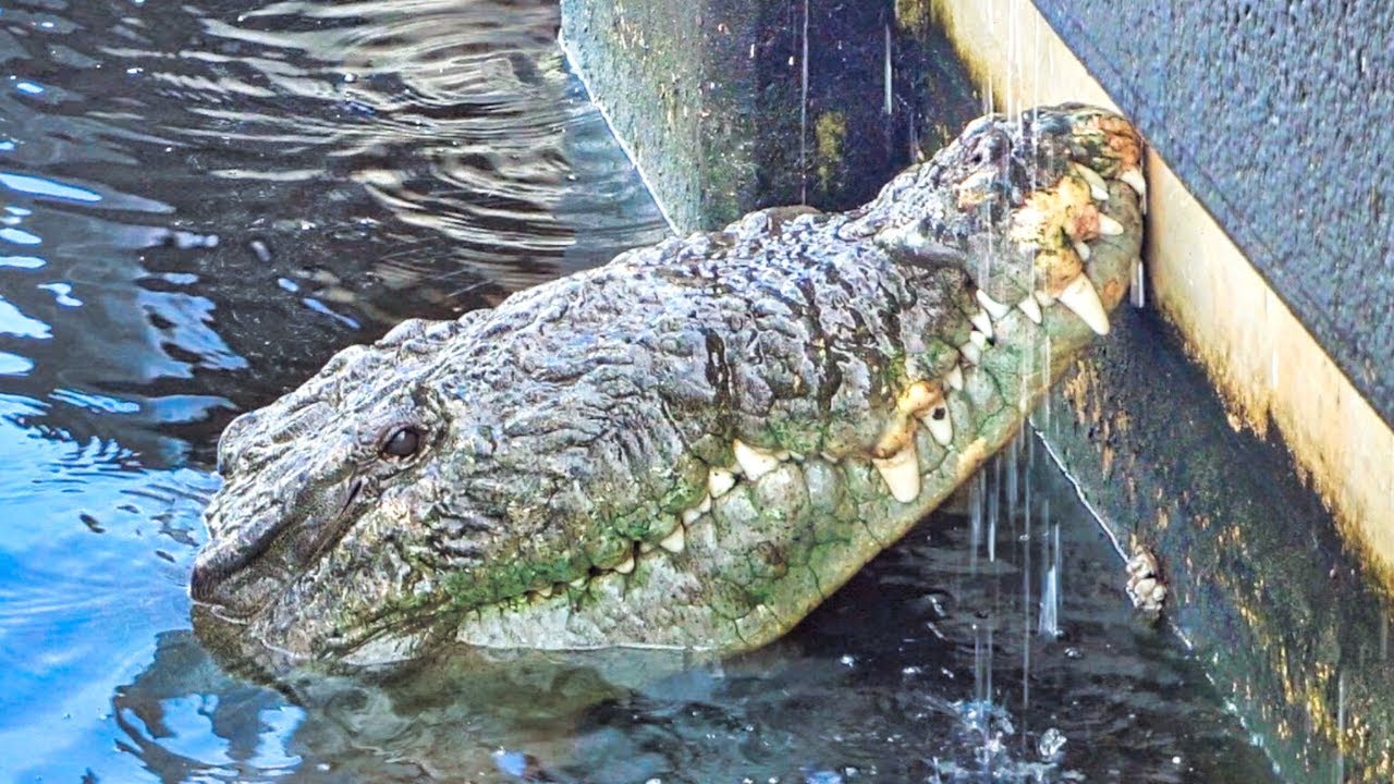 Florida EVERGLADES Camping Trip - Flamingo Kayak Fishing