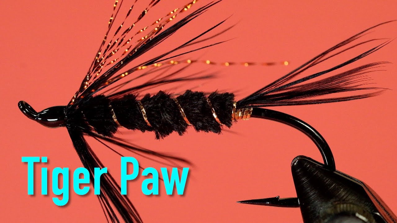 Classic Steelhead Flies: the Tiger Paw