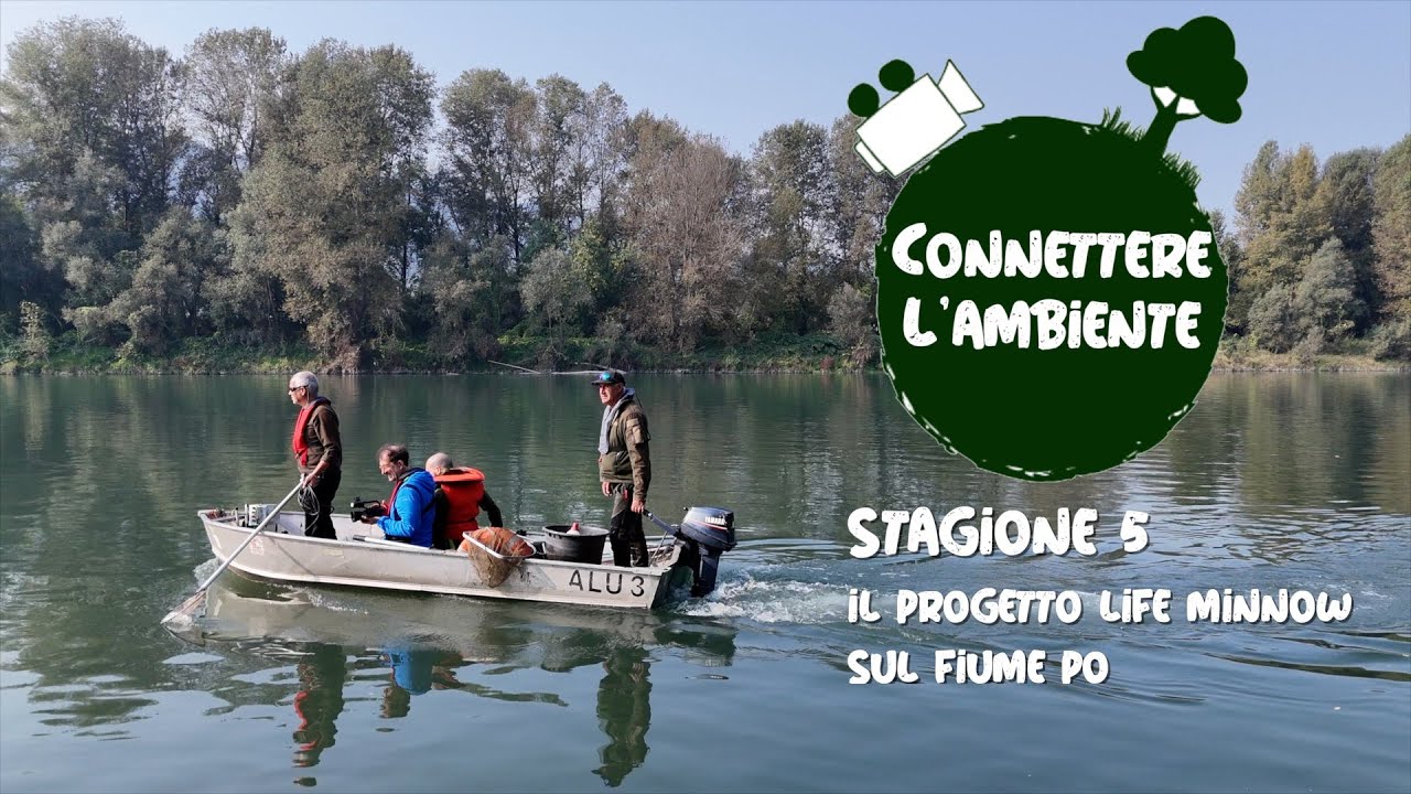 Il progetto Life Minnow sul fiume Po