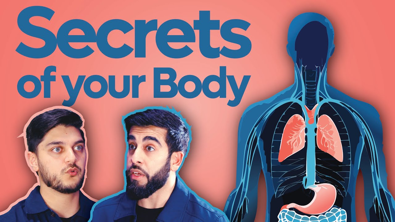 How to Optimize Your Body and Health