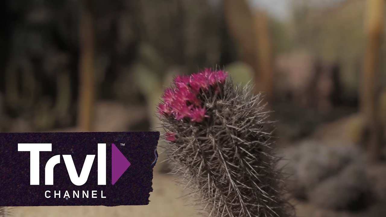 3 Scottsdale Spots for Nature Lovers | Travel Channel
