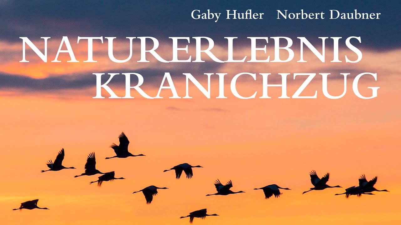 NATURERLEBNIS KRANICHZUG - Die Reise der Kraniche Multvisionsshow