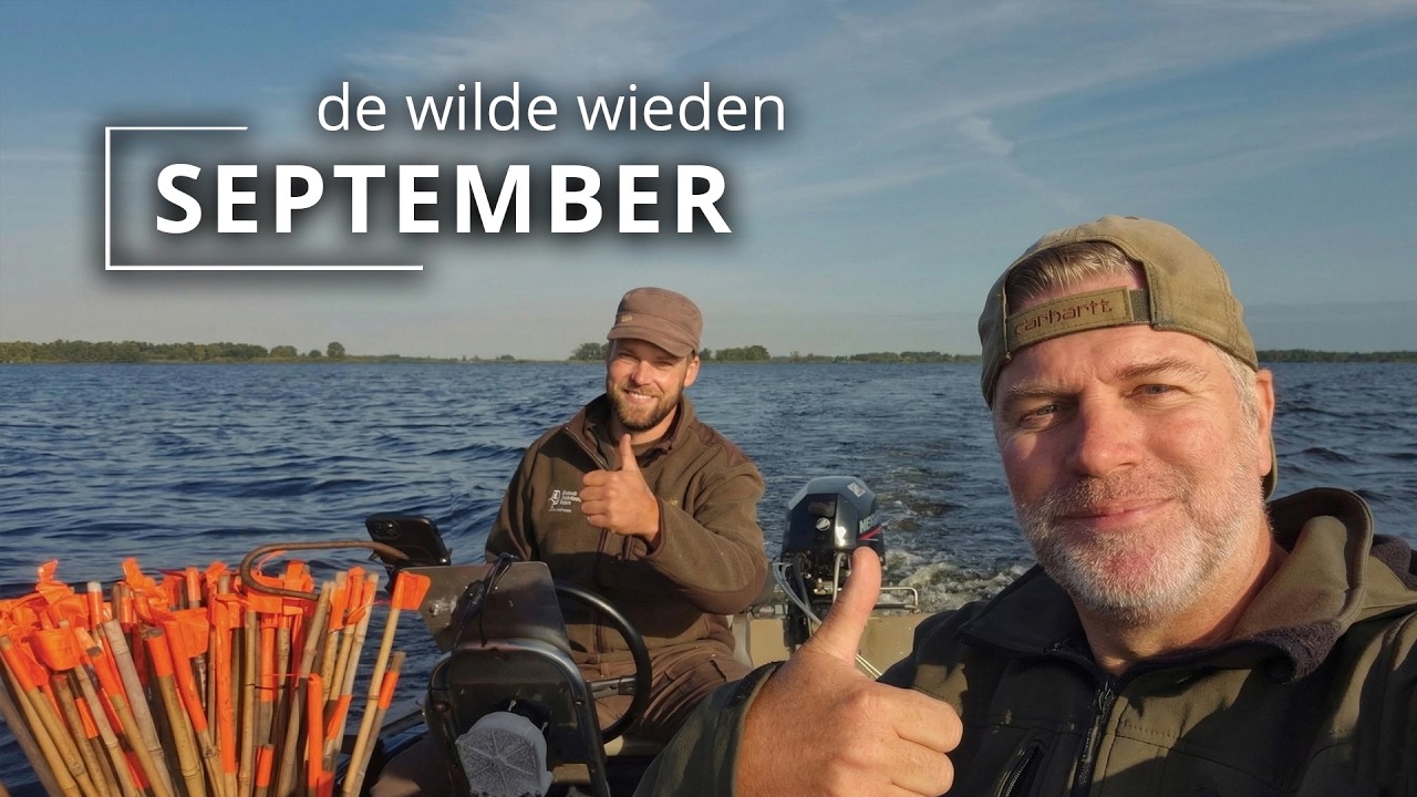 #117 - SEPTEMBER - de wilde wieden