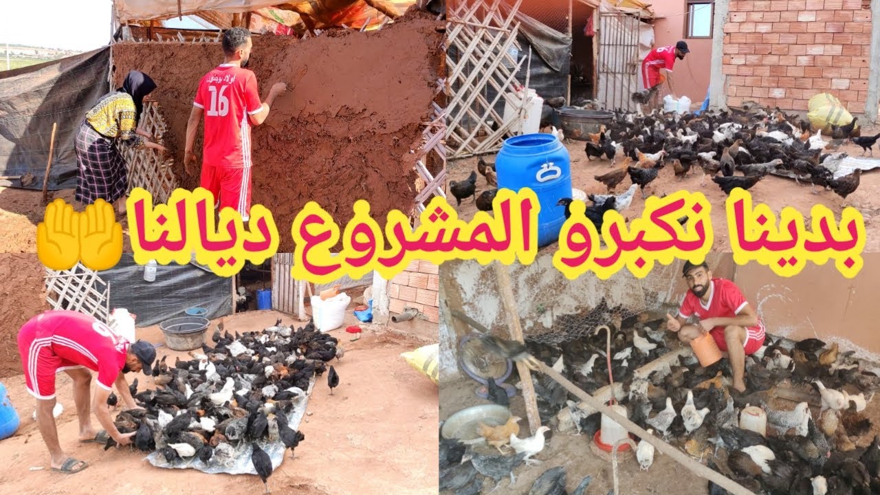 الحمدلله 🤲 معاونين أنا وناصر 👫 باش نكبرو المشروع ديالنا 💪