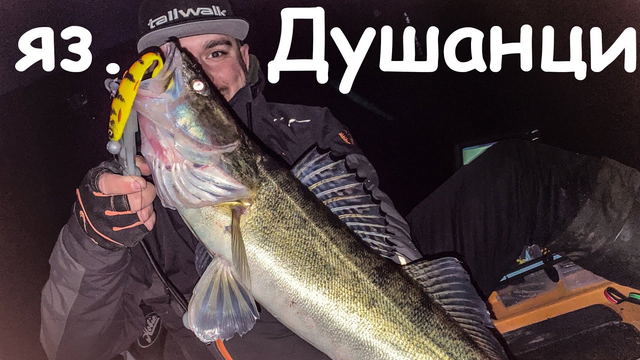 Време е за ВАМПИРИ. Риболов на БЯЛА РИБА на язовир Душанци